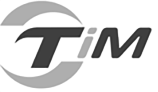 TIM Motors